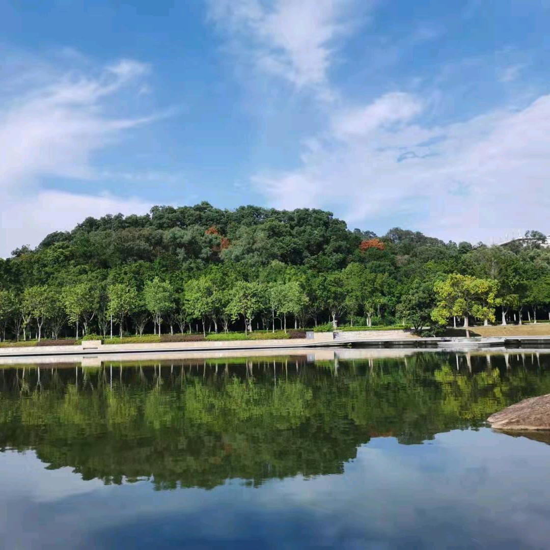 阳光暖不了的❤️