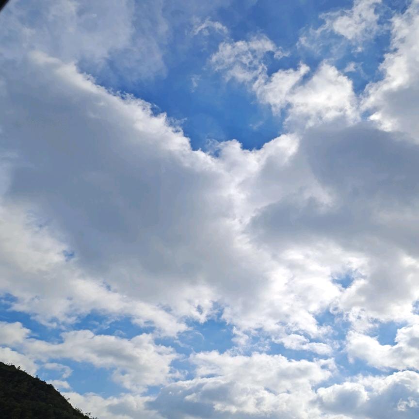 ✨꧂ʕ̯•͡˔•̯᷅ʔ：周ღ᭄ꦿ