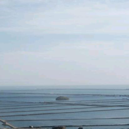 吉利远程汽车厂商销售服务顾问