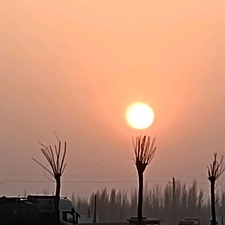 心若向阳何惧风雨