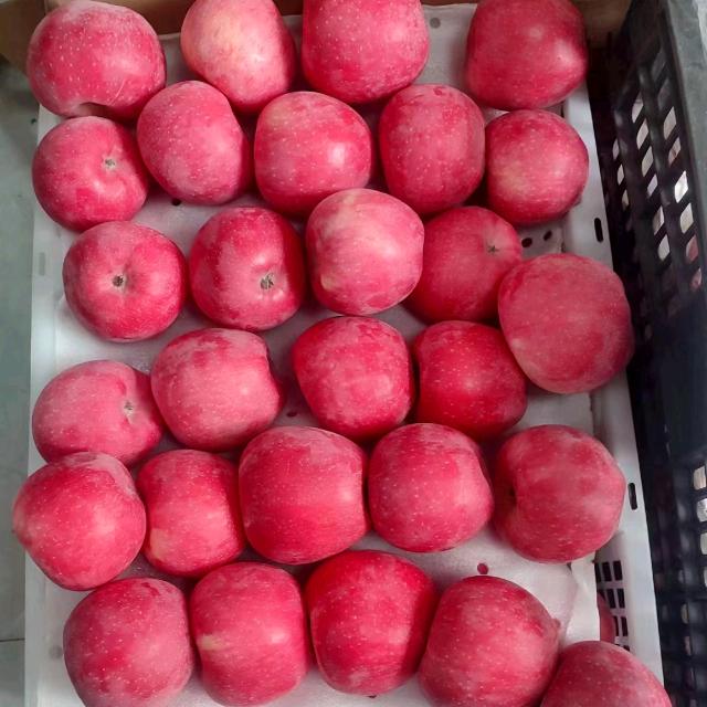 四川果橙臻香生态农业发展有限公司