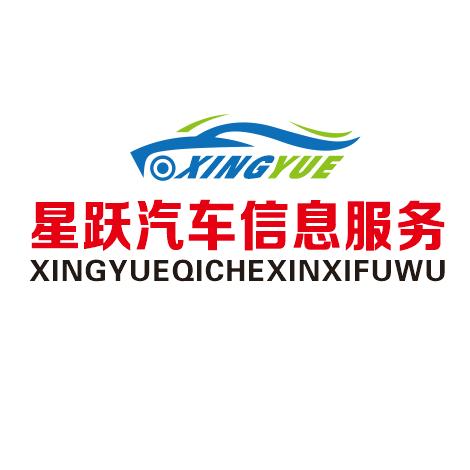 星跃汽车信息服务
