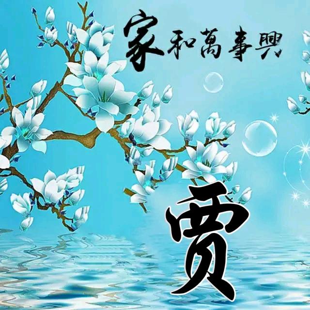 贾宝玉81.2.24(拒绝连赞)