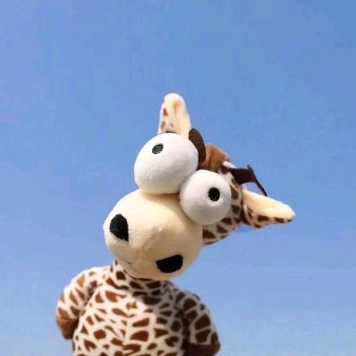 🦋꧔ꦿ᭄💞缘分