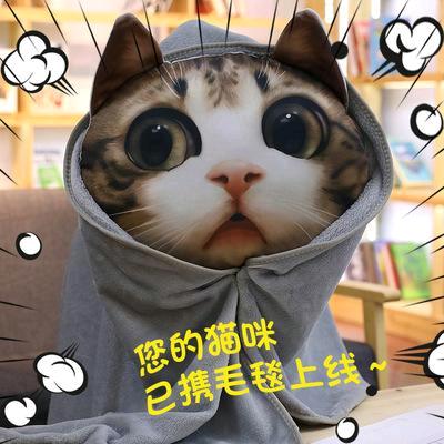 🐱毛毯猫🎤