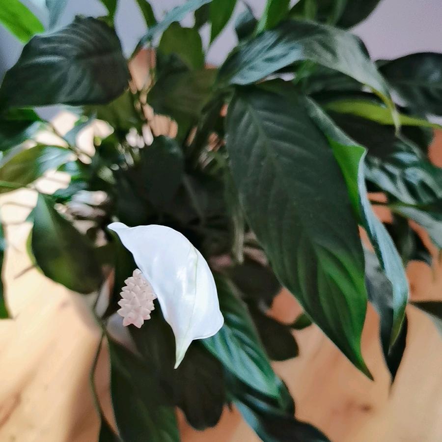 用户6247553893952的时间的沙