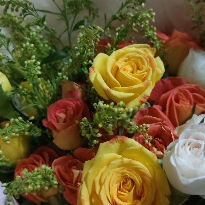 杨姐《拒私聊，勿连赞》