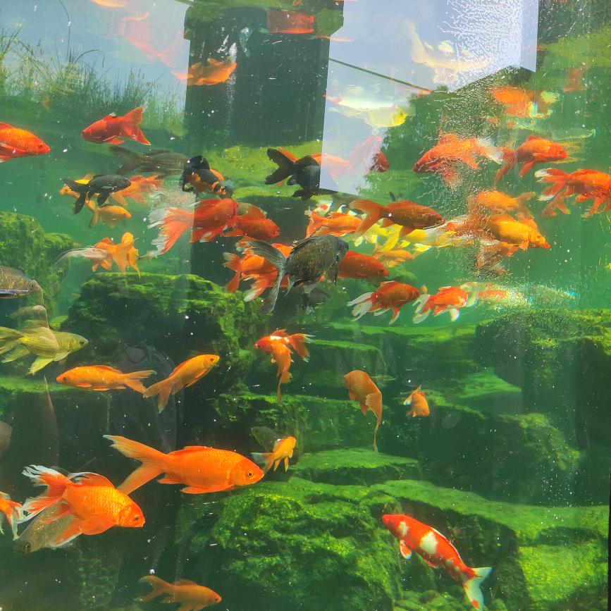 特别的爱给特别你💝