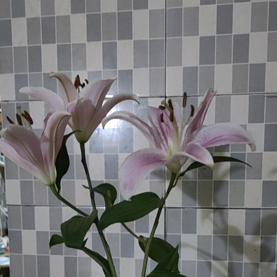 练练