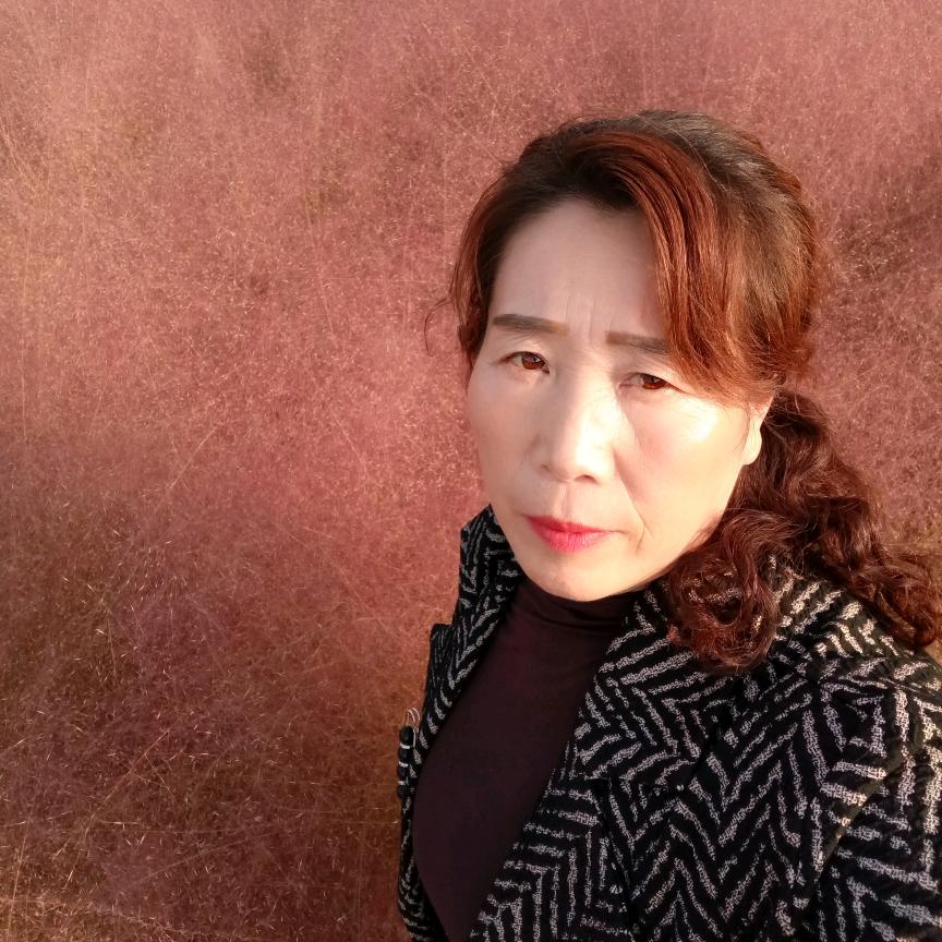 河南李姐