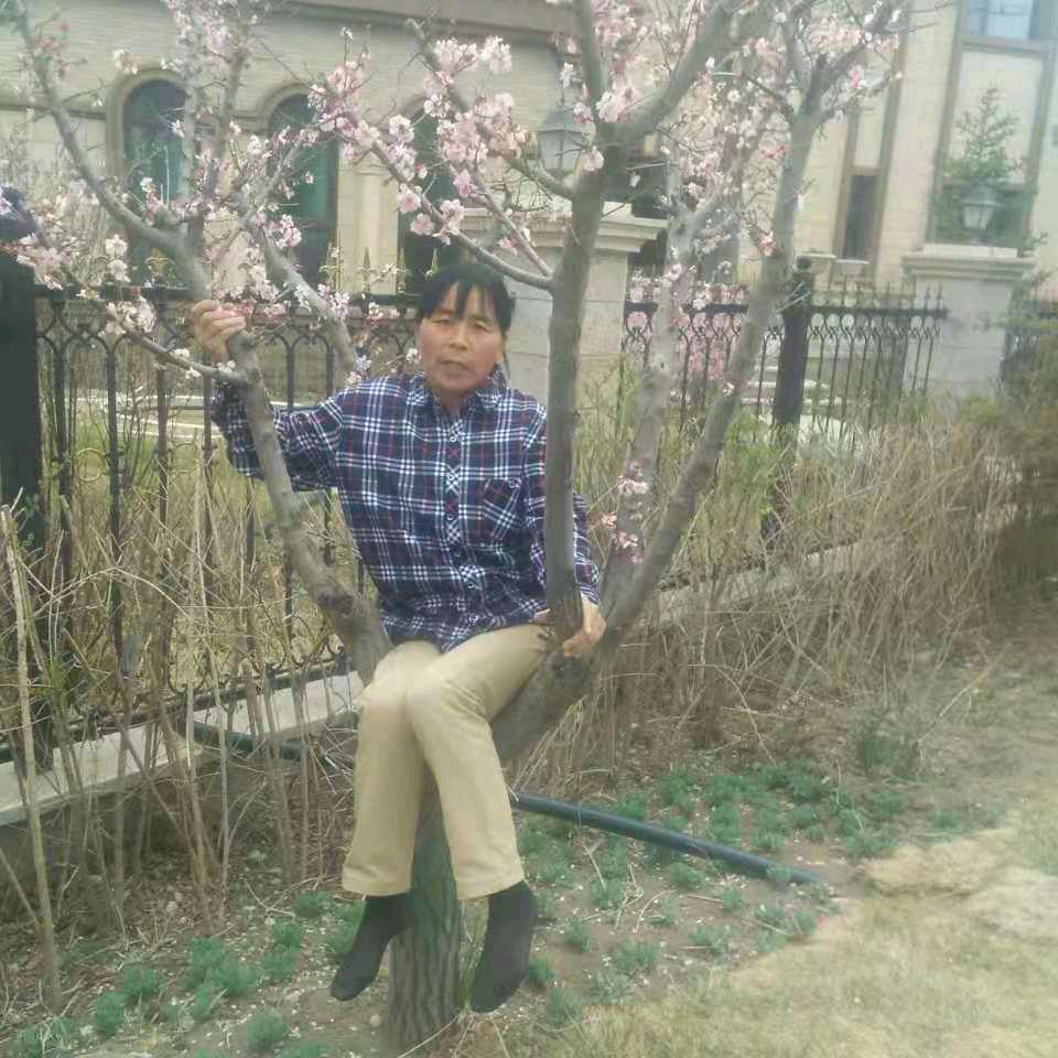 幸福玲玲
