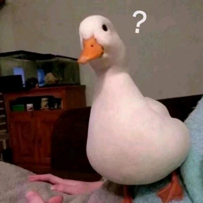 圣布拉丁