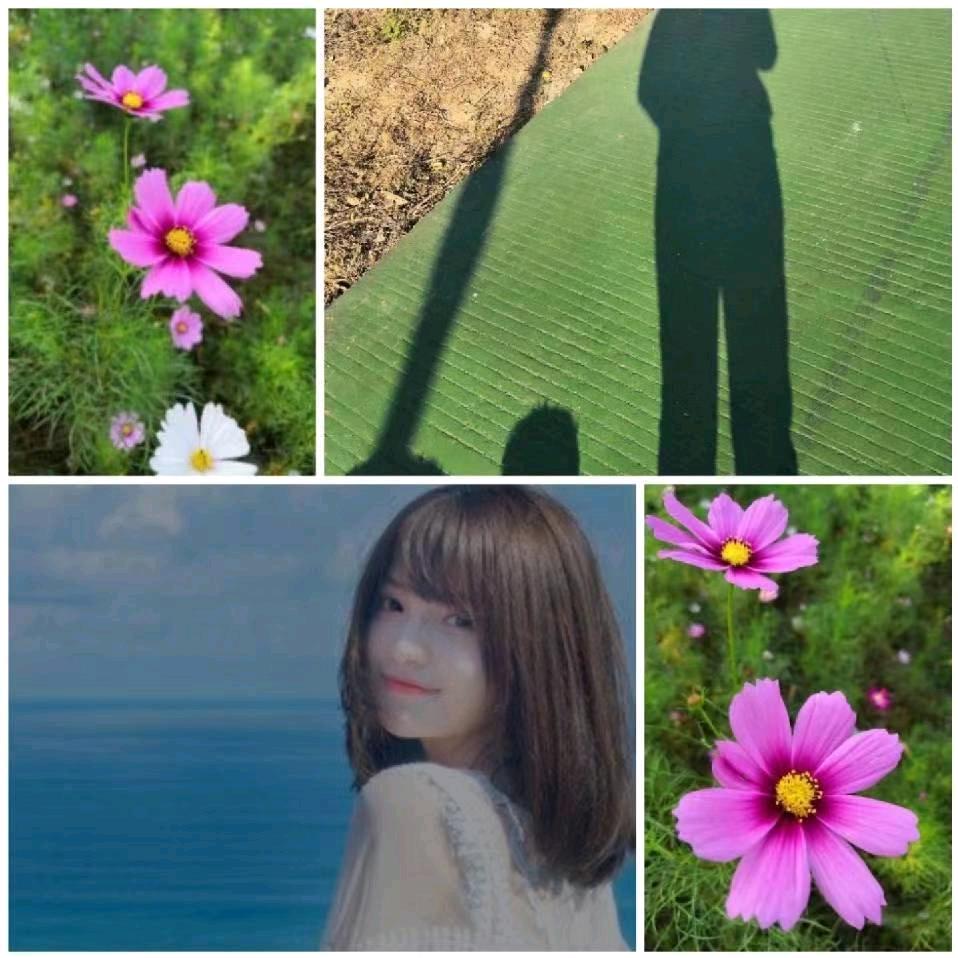 菊花香🌸＄$