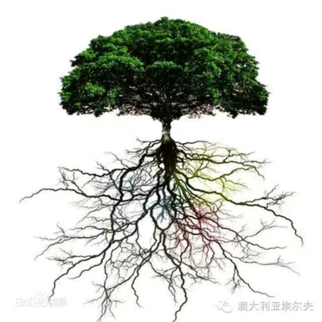 川渝才