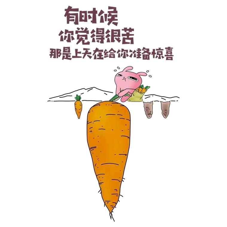 宣记数学解题