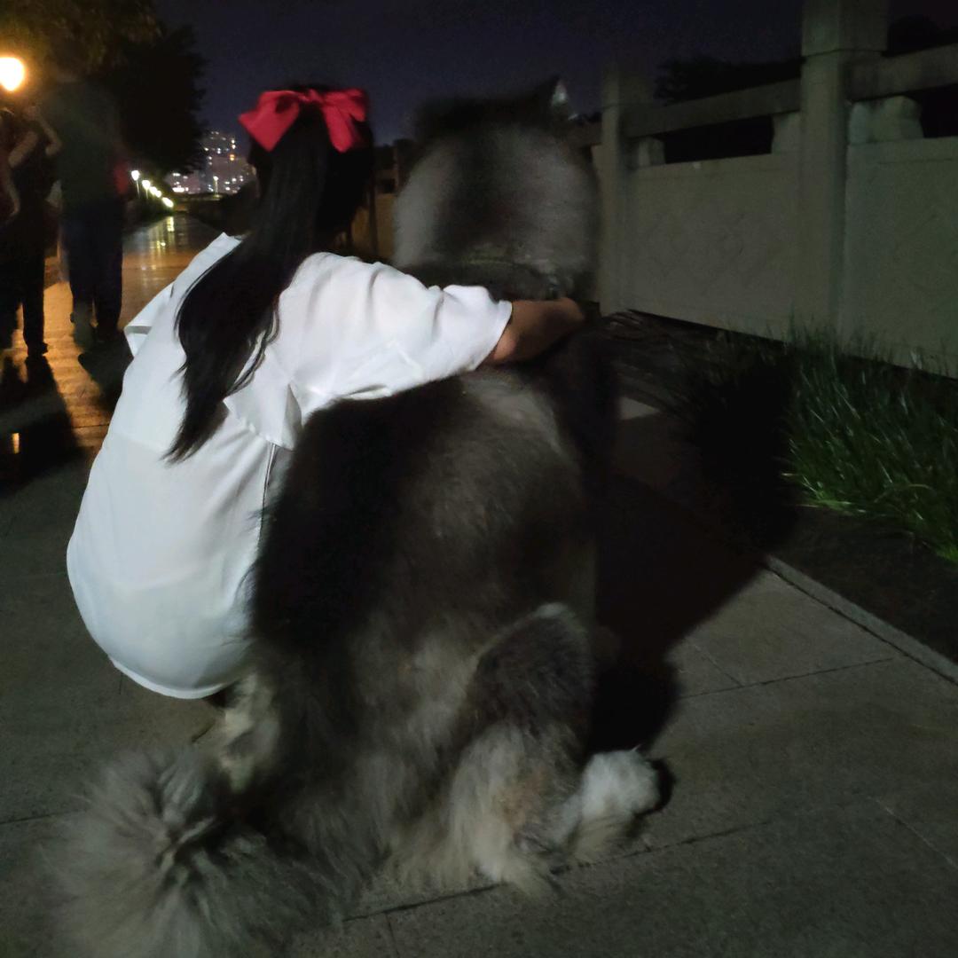 巴普洛夫的牛
