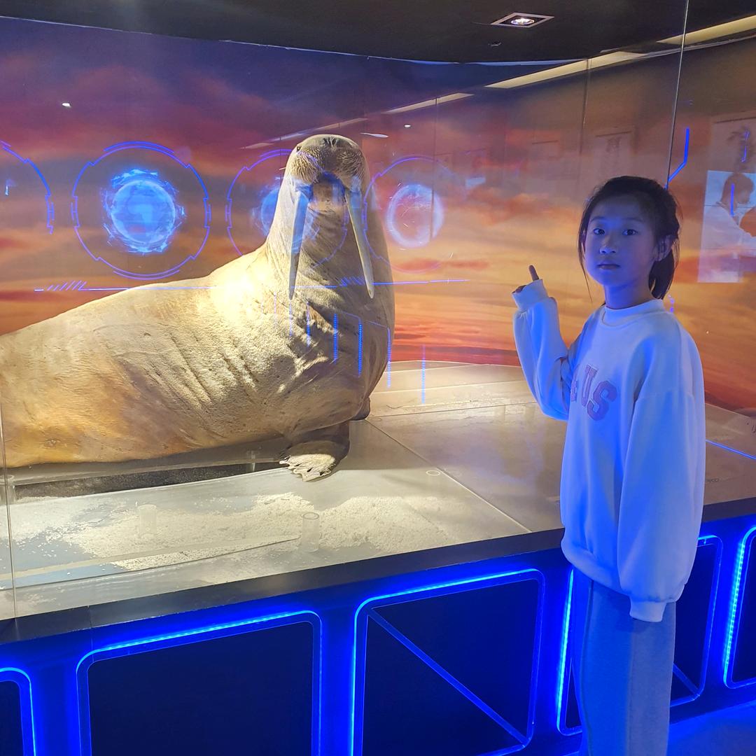 爱吃猫的🐠