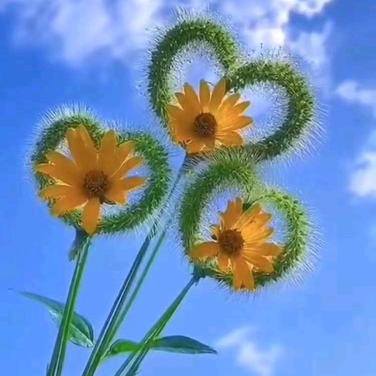 静静