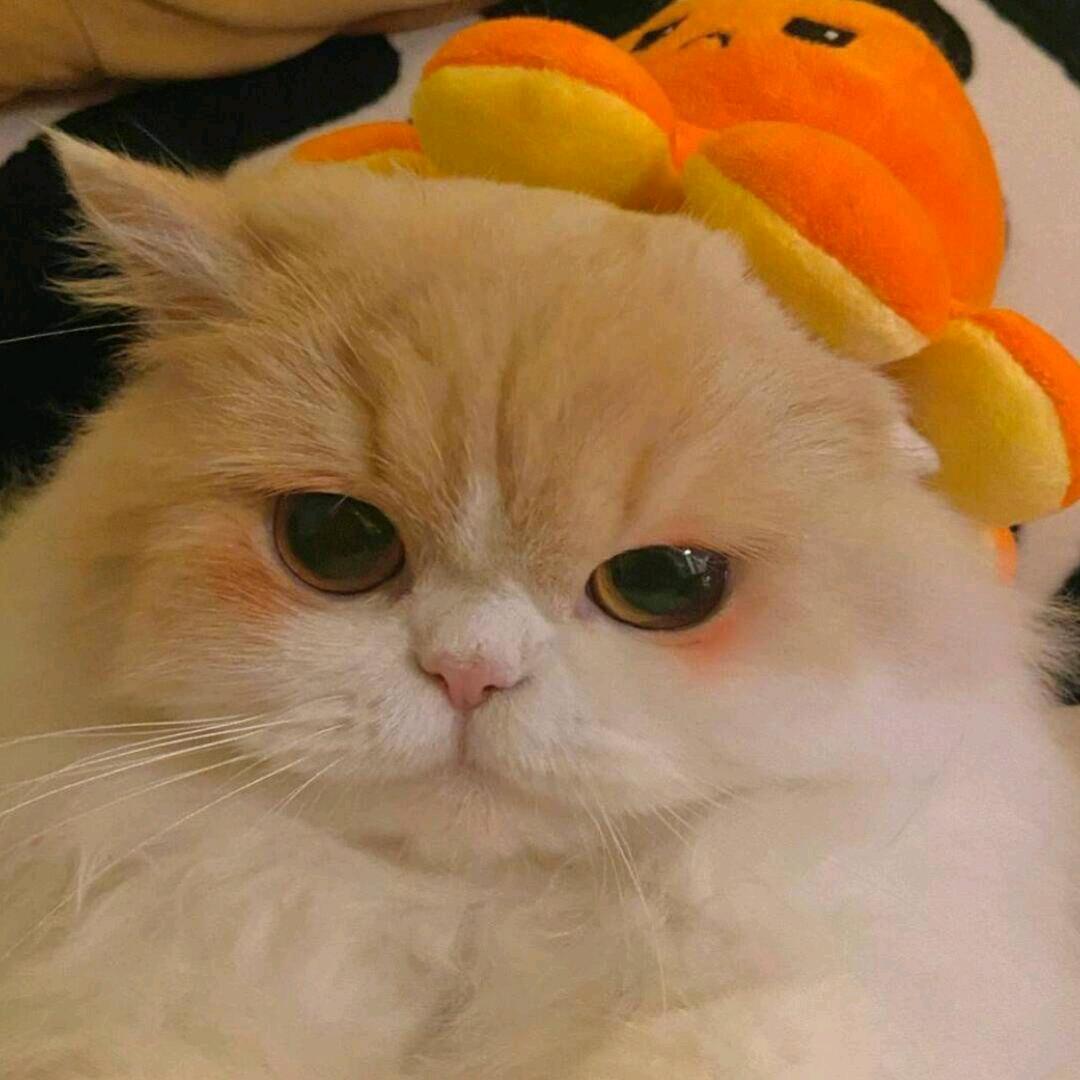 暮冬