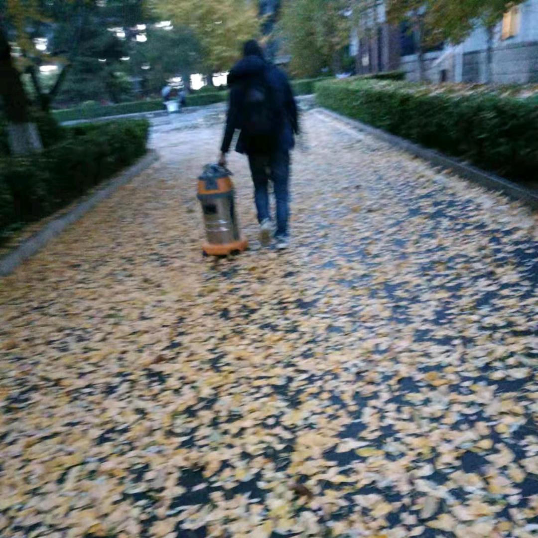 自由