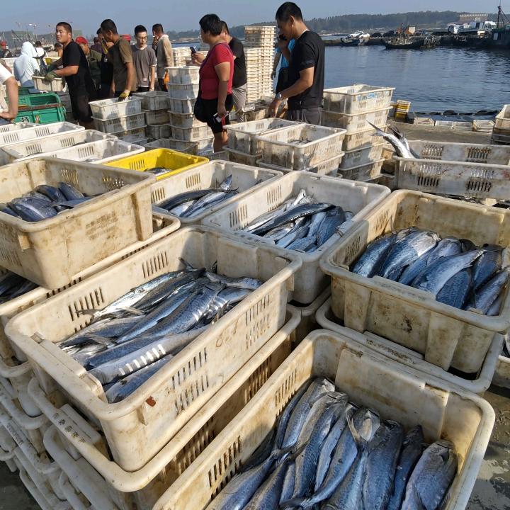 民浩海鲜