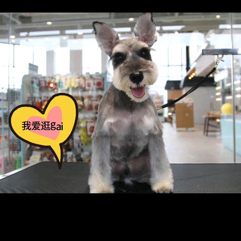拉拉熊