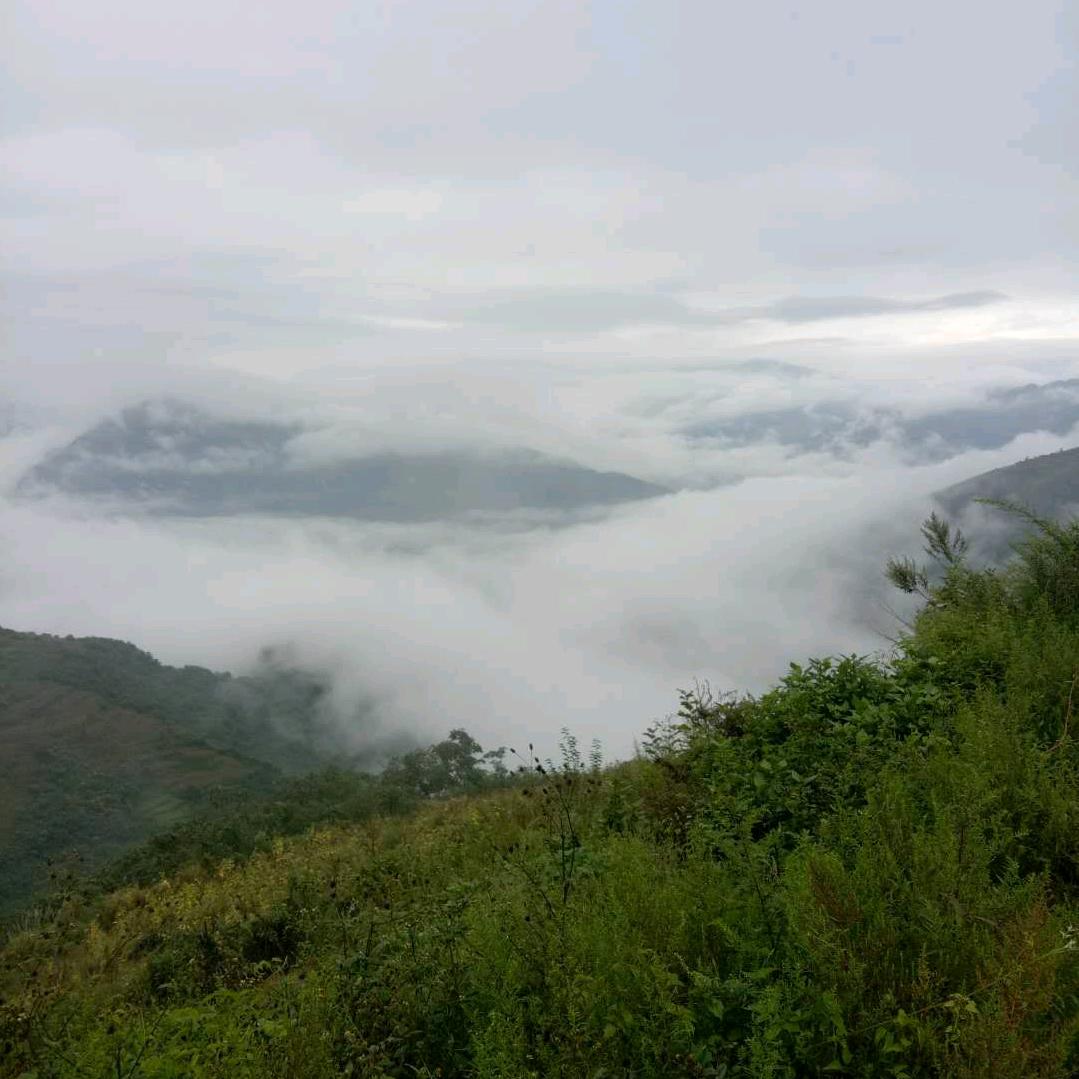 往事清零🧚‍♀️