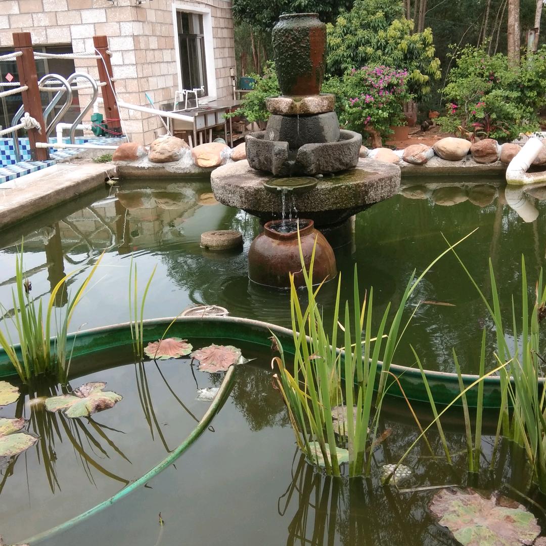 小巧玲珑