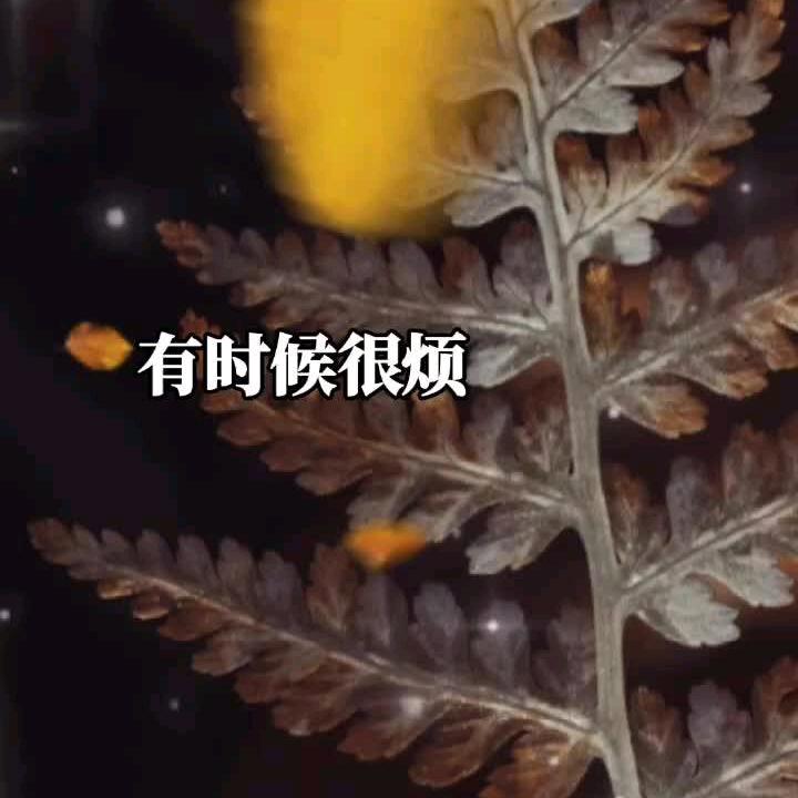 初心不变