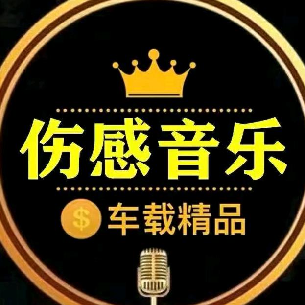 伤感之王《车载优盘》