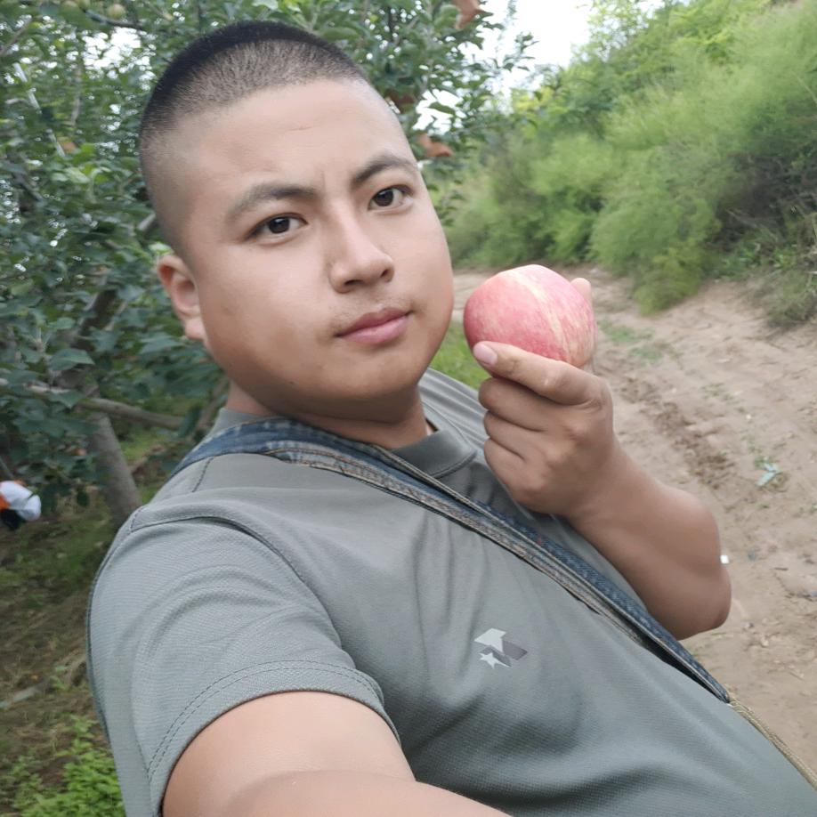 白水苹果-辰汁果（自产自销）