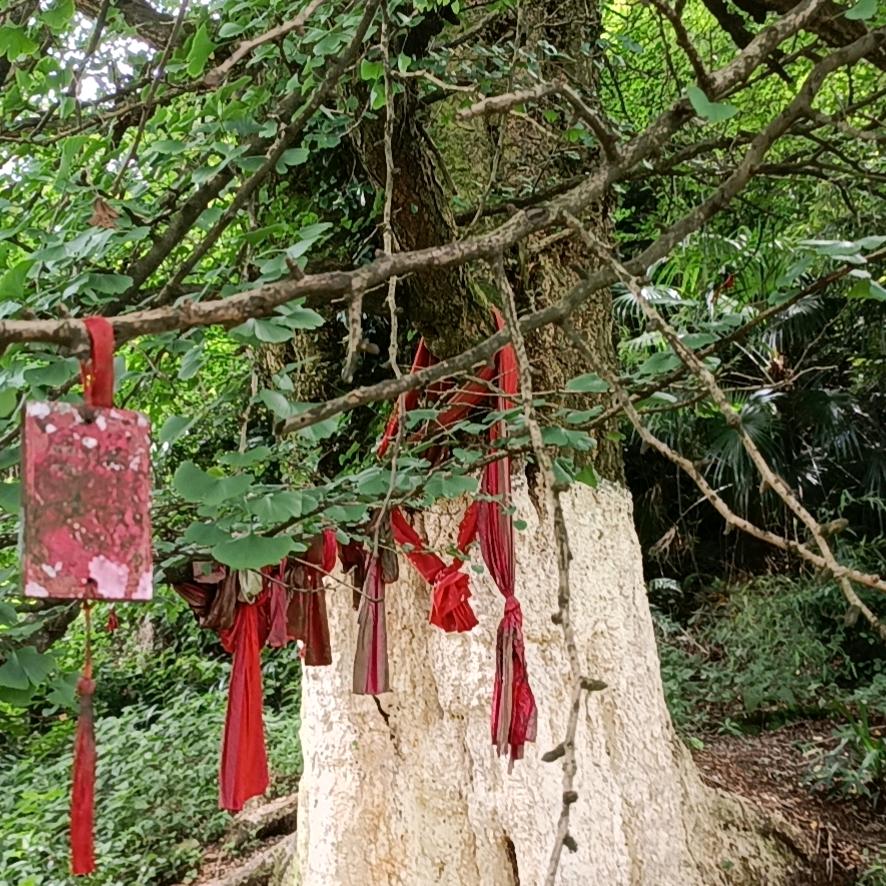 风里雨里我等你
