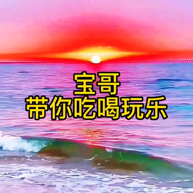 宝哥带你吃喝玩乐