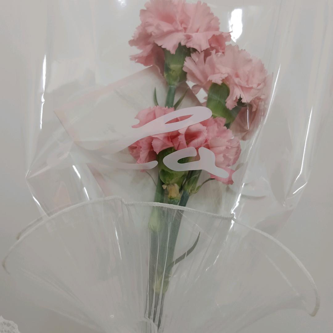 梅梅