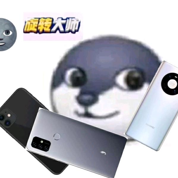 狗头君宇哥