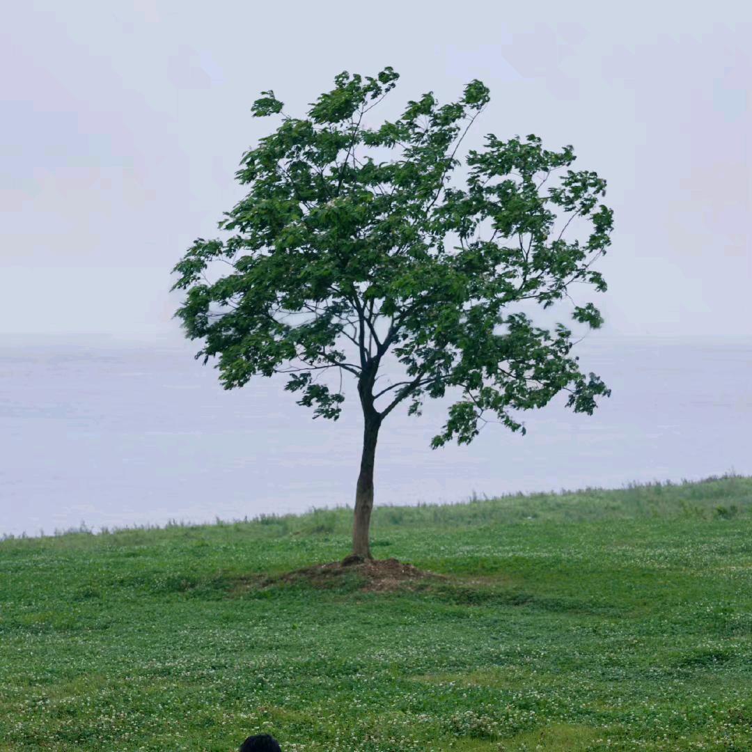 瘦瘦虹【减肥版ing】
