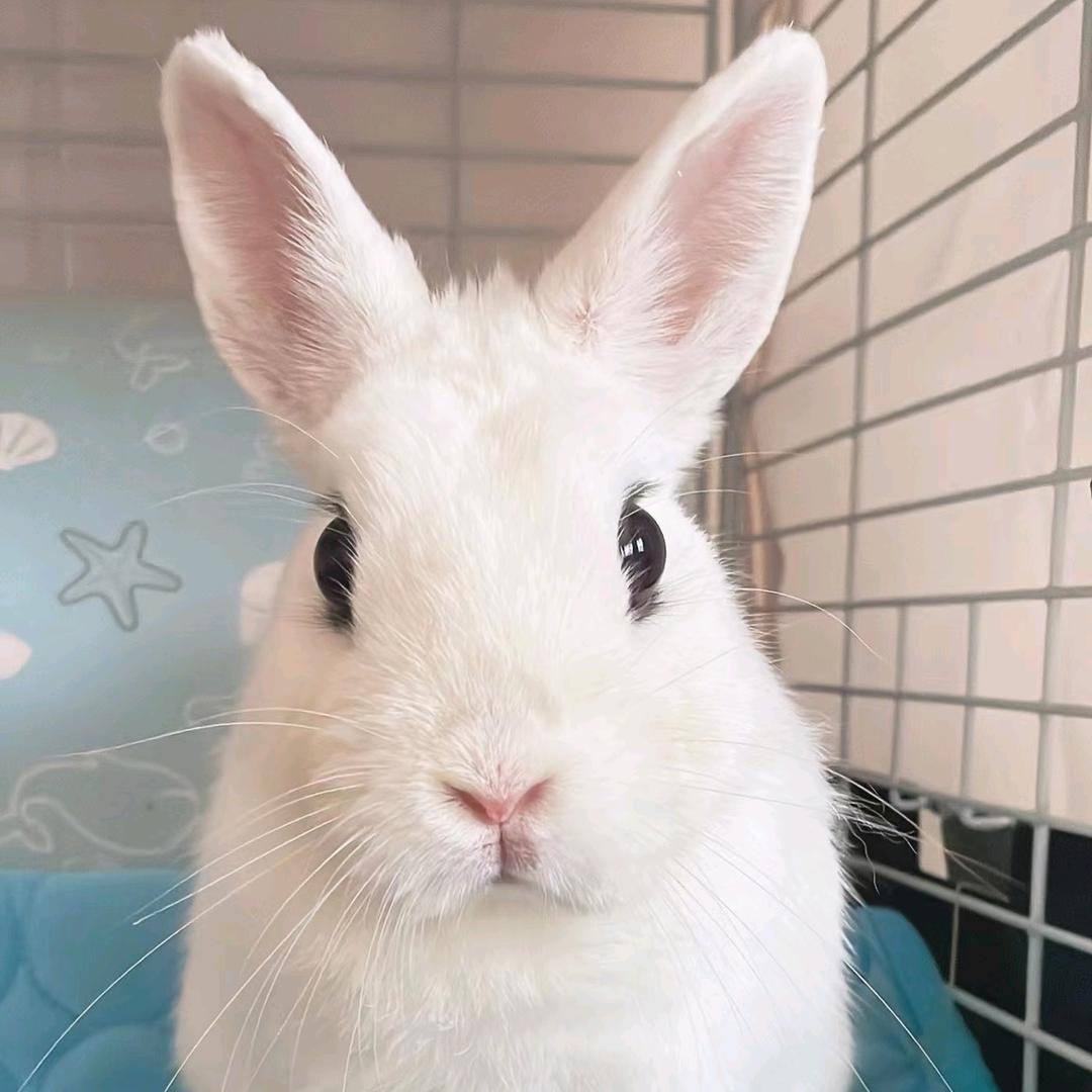 🌈小耶宝宝🌈