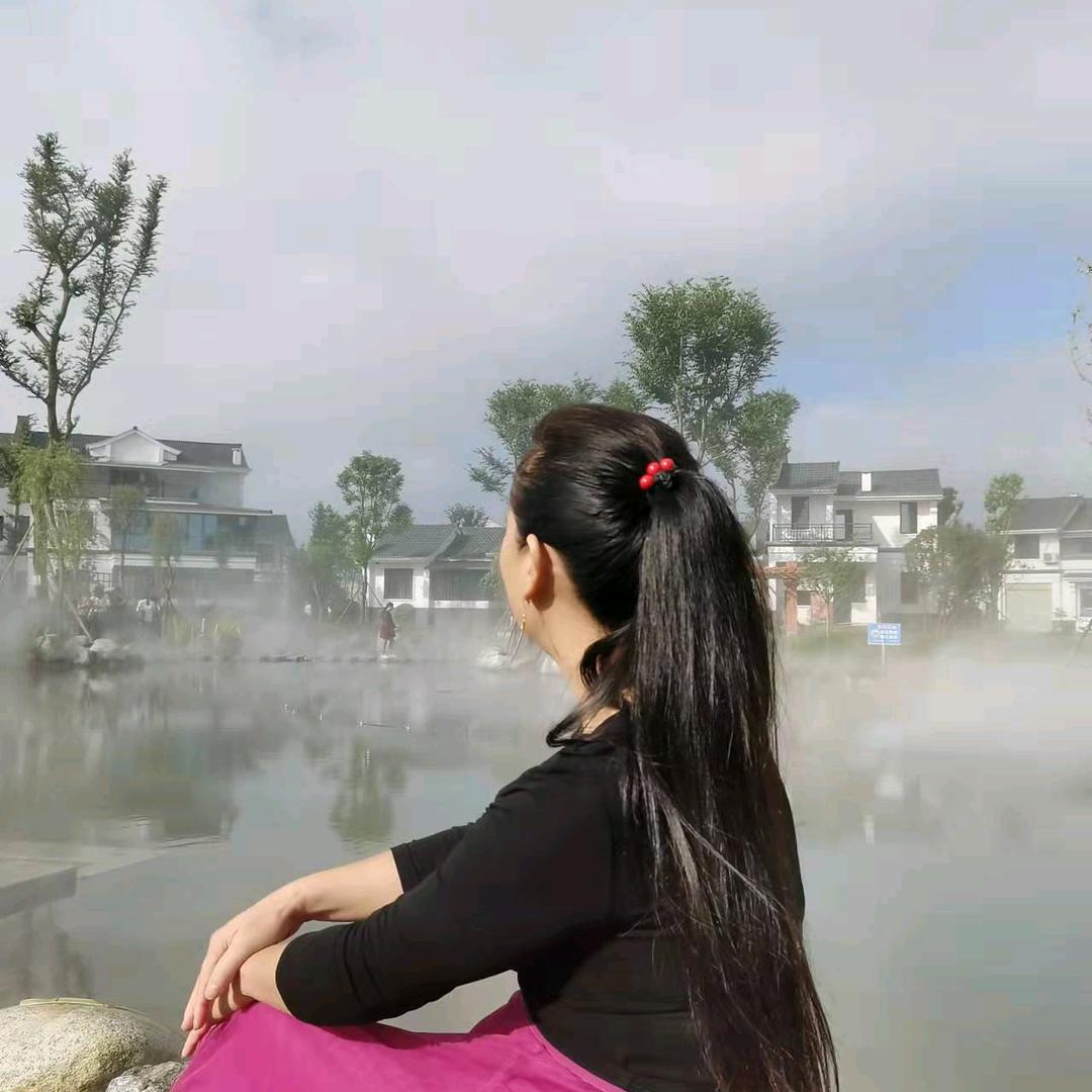 海鸥
