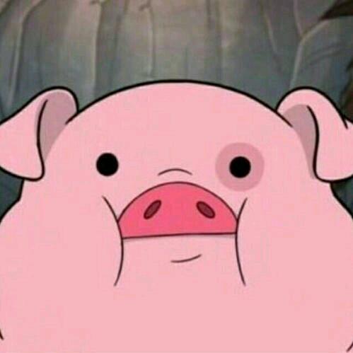 建业·新城 朱帅