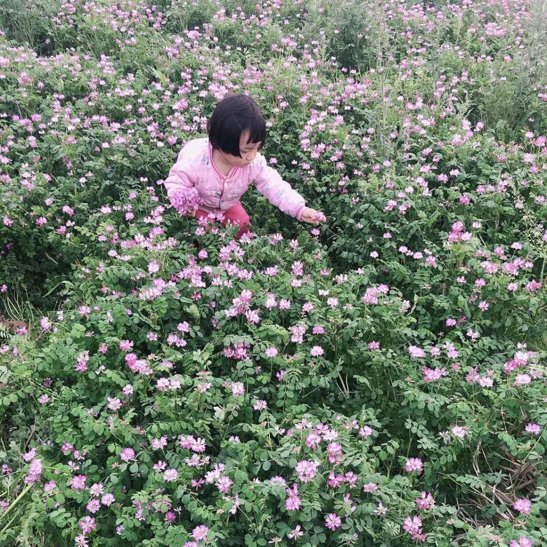 顺其自然ԅ(¯ㅂ¯ԅ)