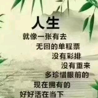 每天都在想你们