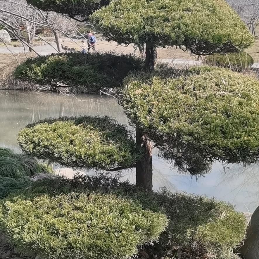 用户相信自己