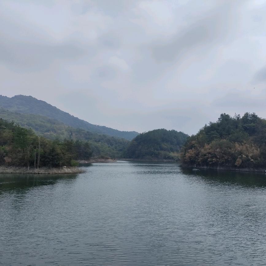 澧淞村罗姐姐