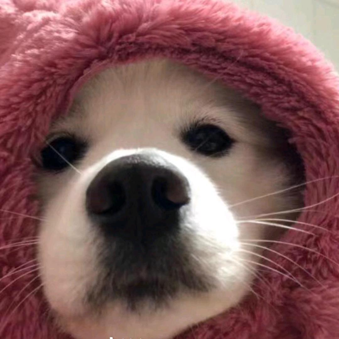 随缘