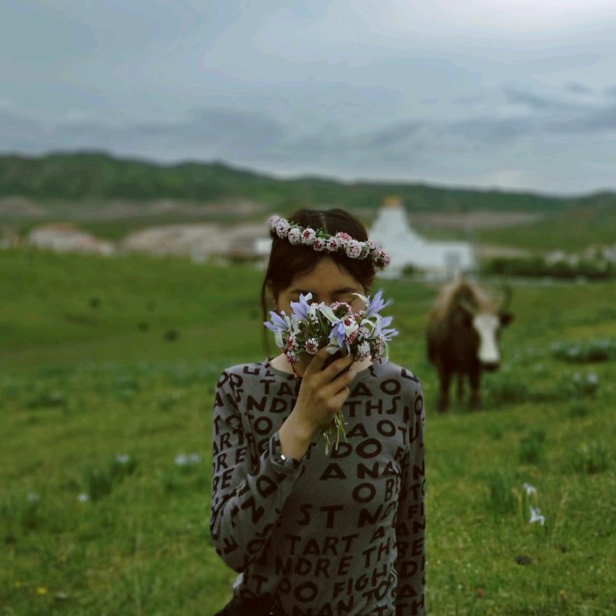 🍃𝓓𝓻𝓮𝓪𝓶✨