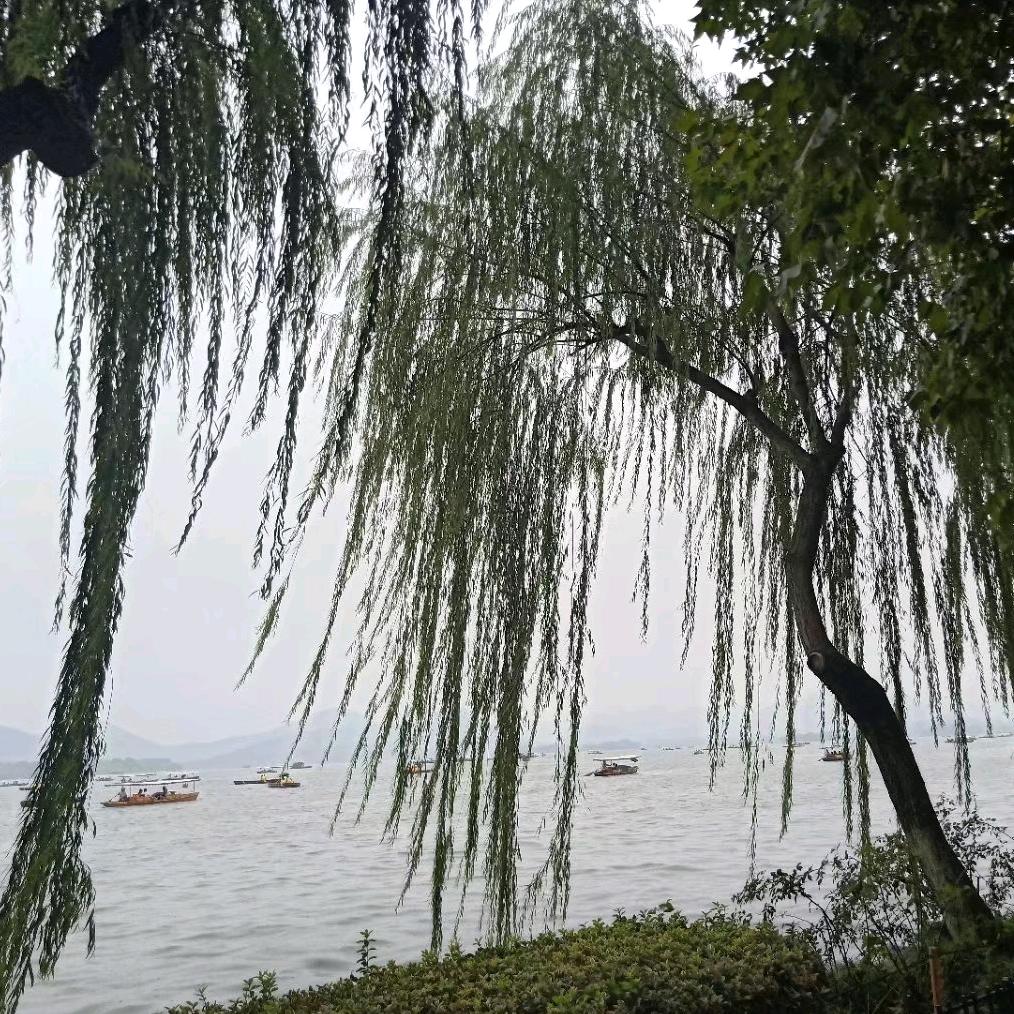 秋风落叶