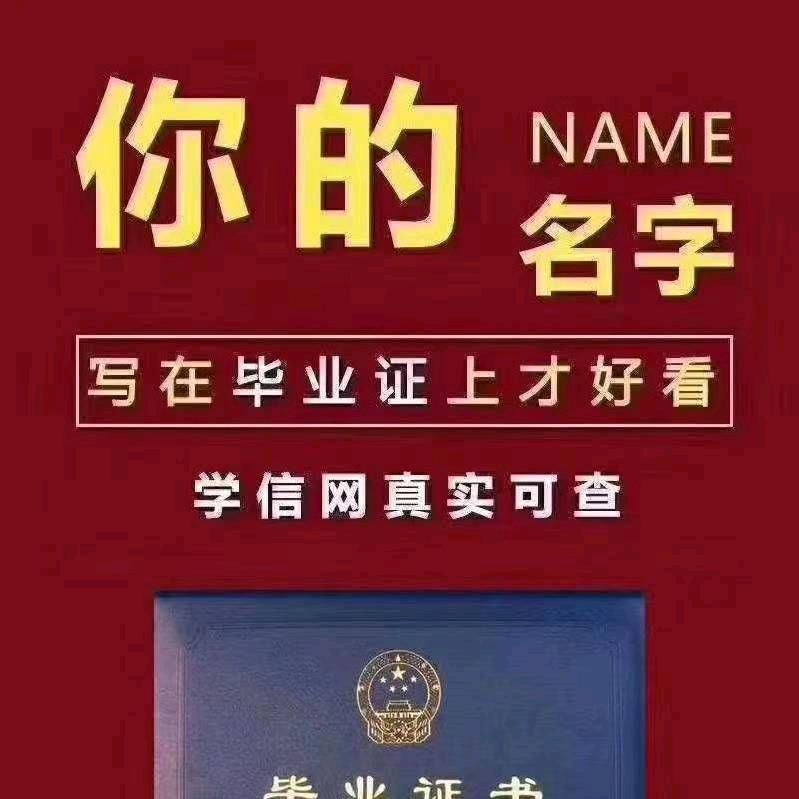 张老师(浙江豪哥)