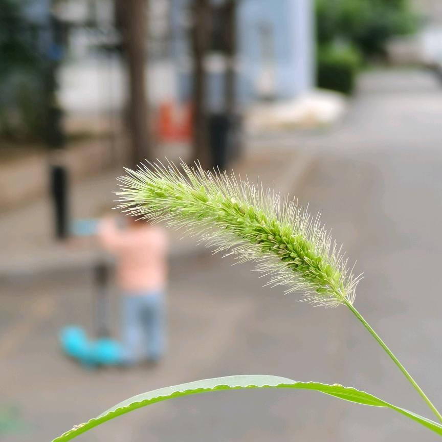 娇~