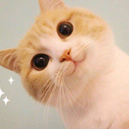 中云惠子*
