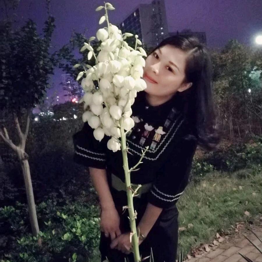 周周（消毒除甲醛除四害）